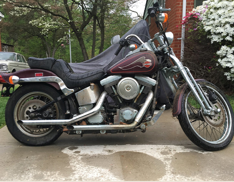 Harley davidson softail custom 1340 deals renegade